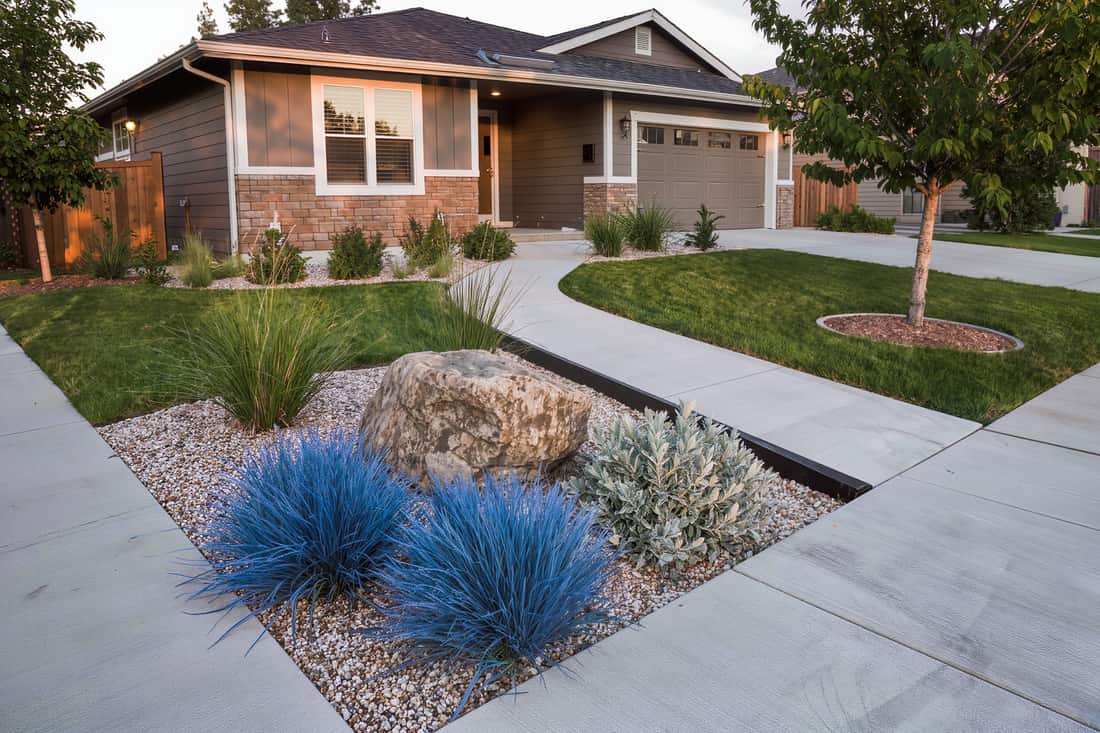 A finished front yard of drought-tolerant natives with gravel mulch and a boulder