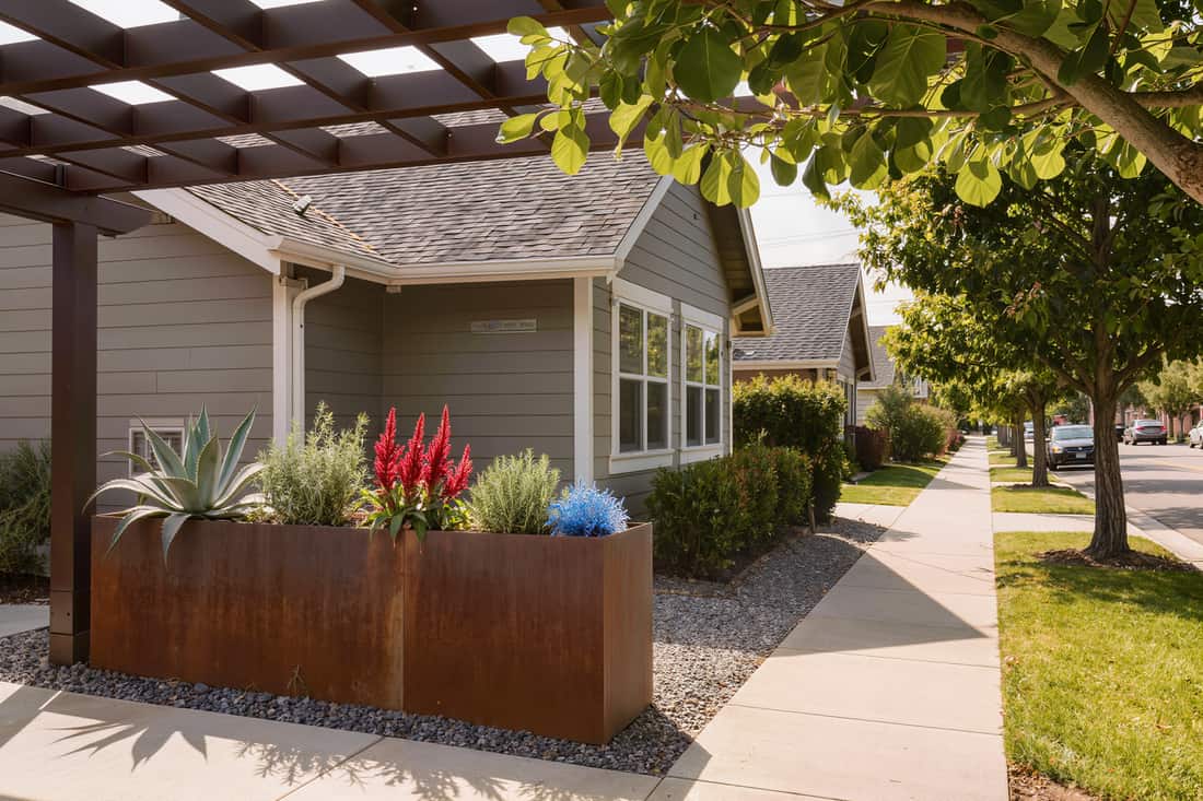 Dense low-water planting in dappled shade against a rusted steel planter face