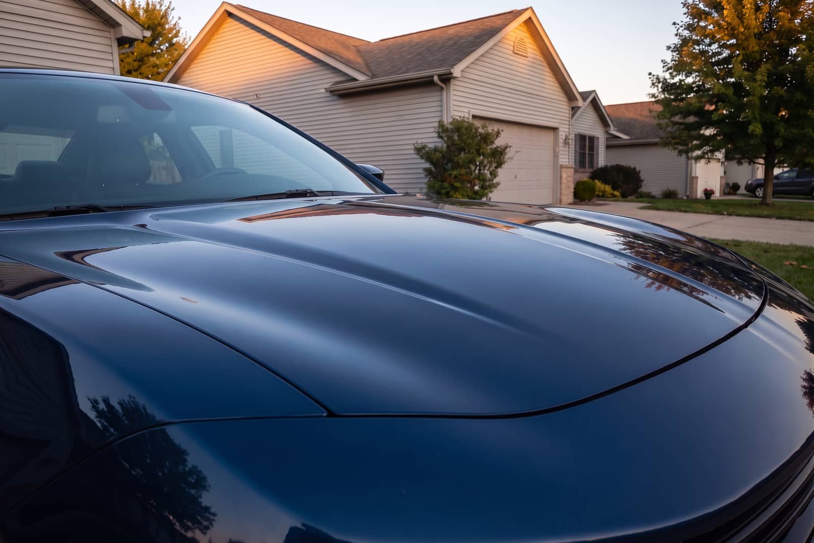 Dark-blue hood after machine polishing, the reflection sharp and undistorted