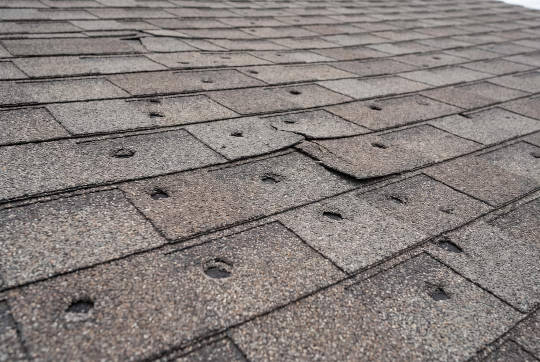 Close view of hail strikes on a shingle slope, each impact a darker pockmark where the surface granules were knocked away